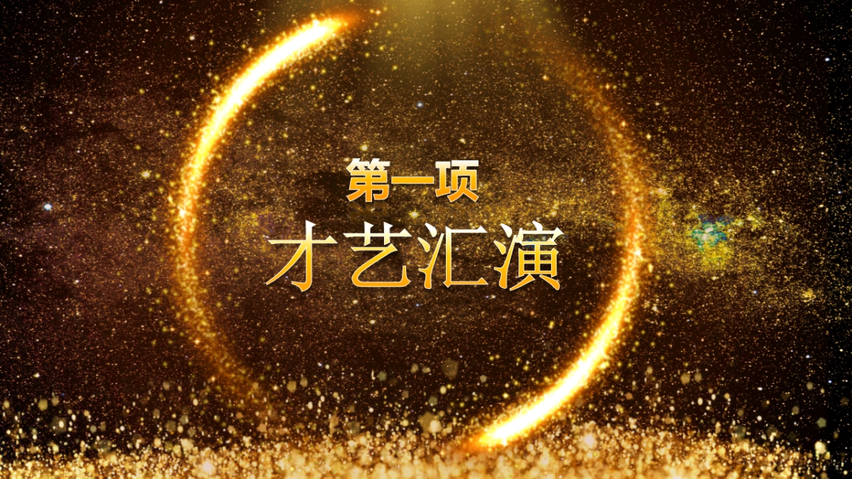 年会颁奖盛典晚会 (13)_第4页