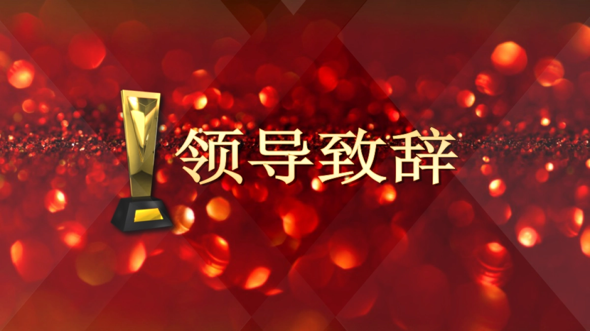 年会颁奖盛典晚会 (15)_第3页