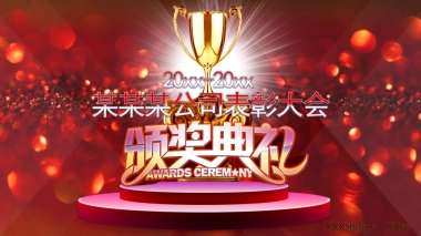 年会颁奖盛典晚会 (15)