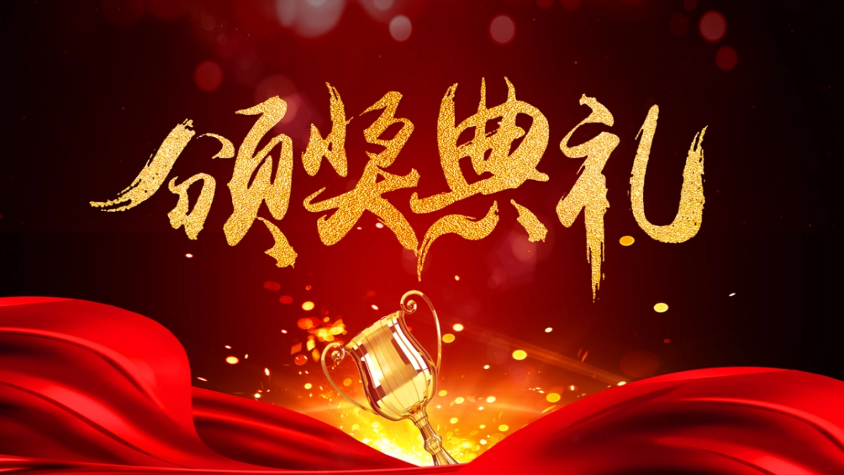 年会颁奖盛典晚会 (20)_第2页