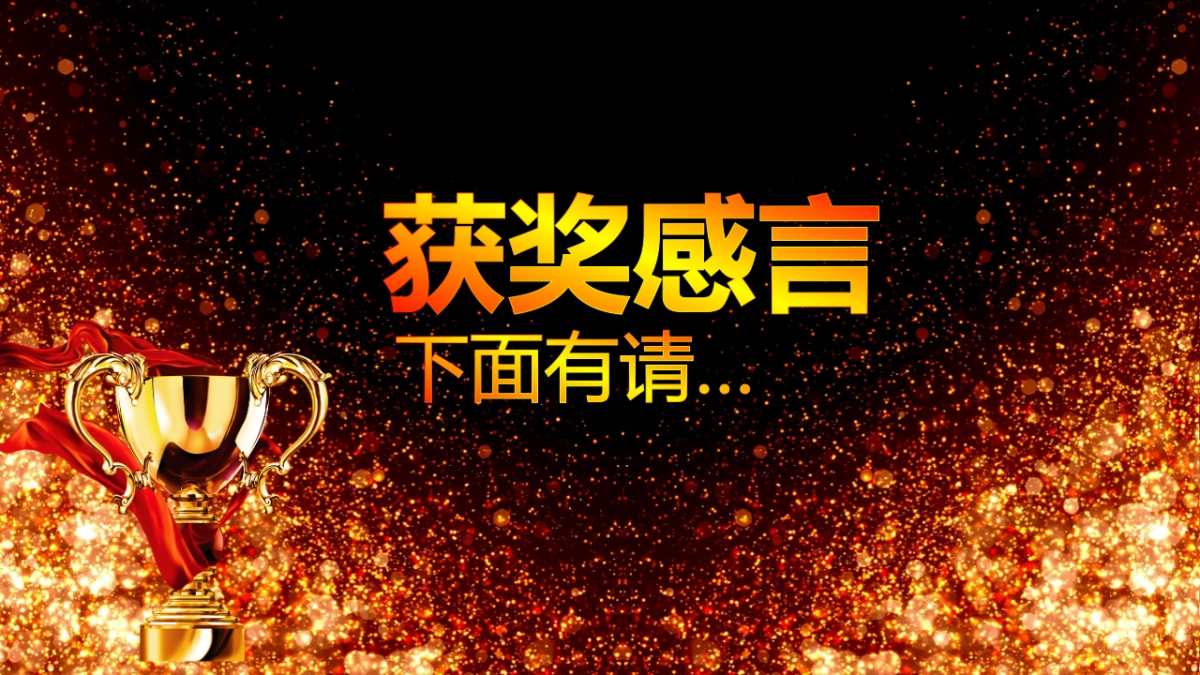 年会颁奖盛典晚会 (32)_第10页