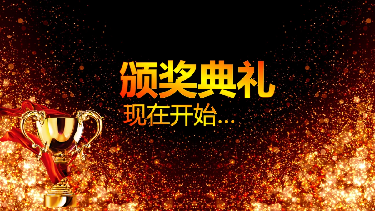 年会颁奖盛典晚会 (32)_第7页