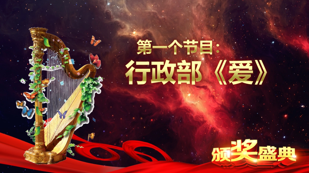 年会颁奖盛典晚会 (34)_第10页