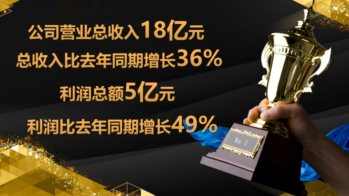 年会颁奖盛典晚会 (38)_第6页