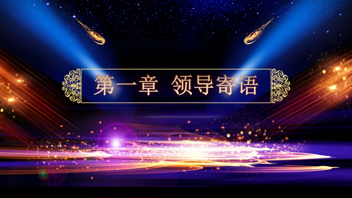 年会颁奖盛典晚会 (41)_第3页