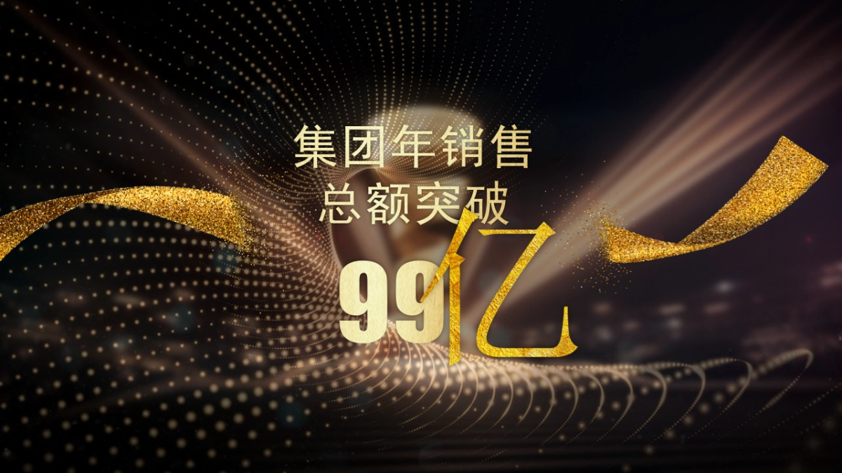 年会颁奖盛典晚会 (43)_第6页