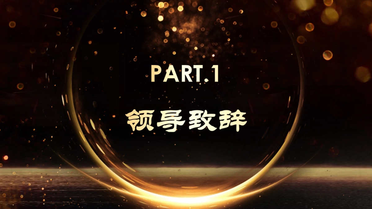 年会颁奖盛典晚会 (45)_第3页