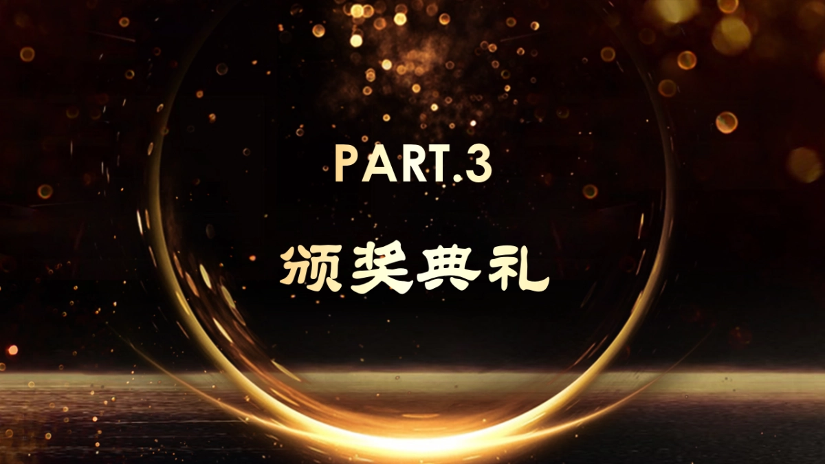 年会颁奖盛典晚会 (45)_第9页