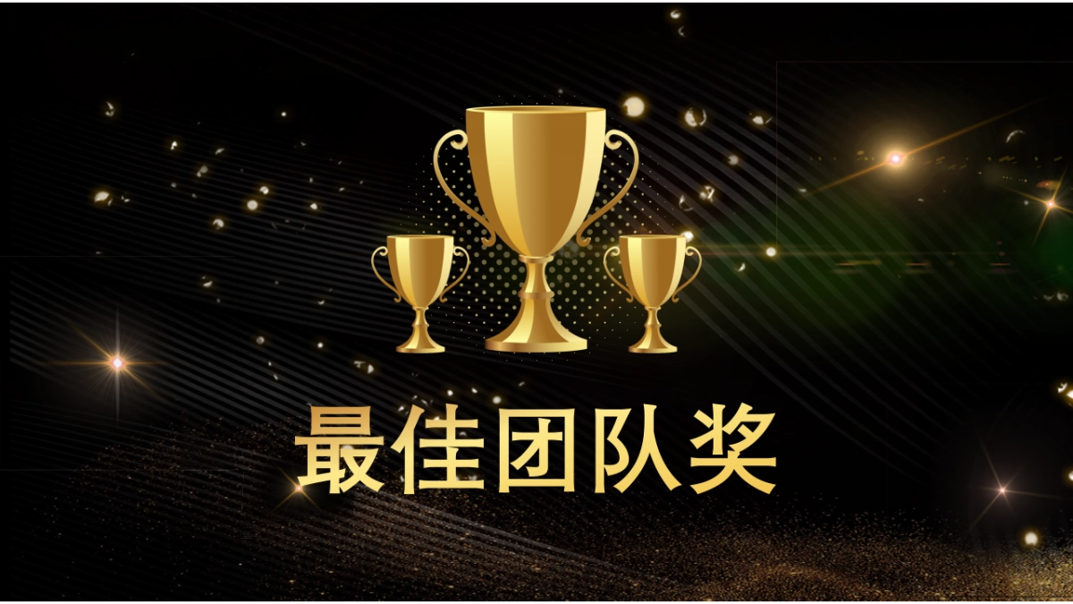 年会颁奖盛典晚会 (46)_第10页