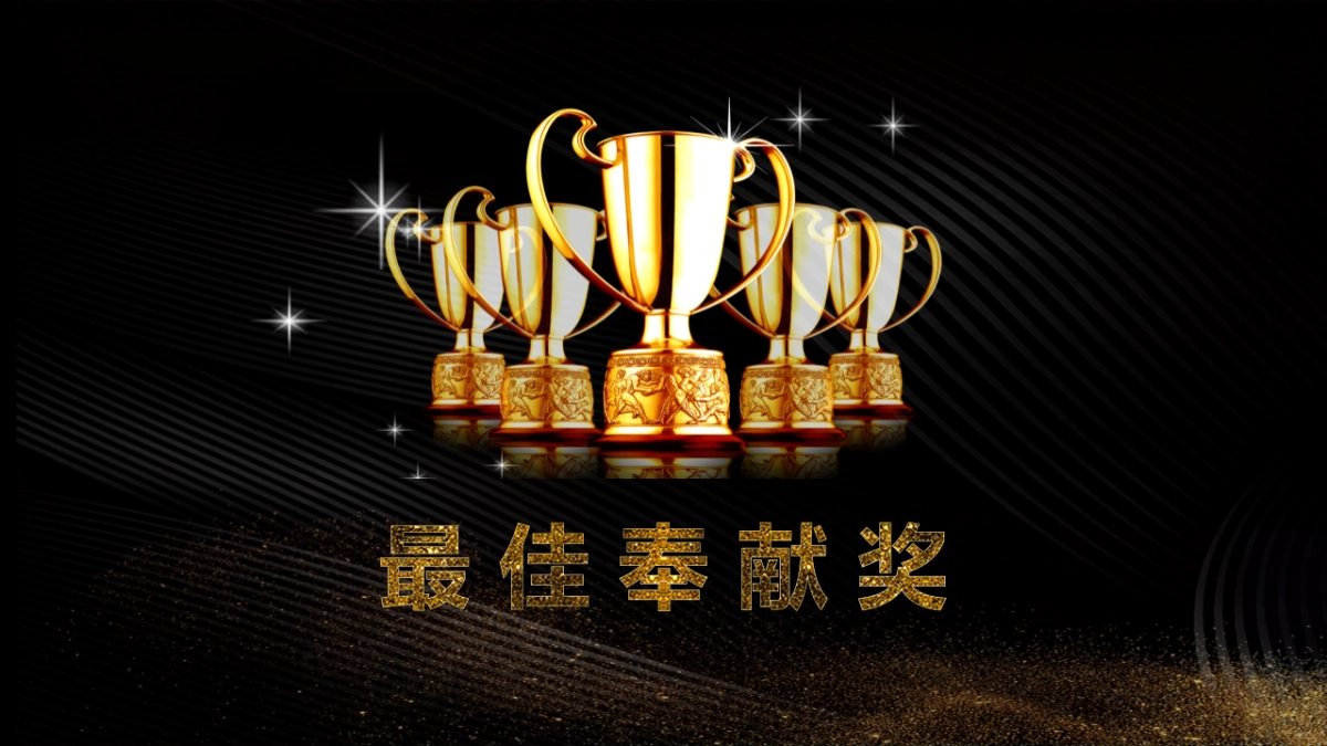 年会颁奖盛典晚会 (50)_第10页