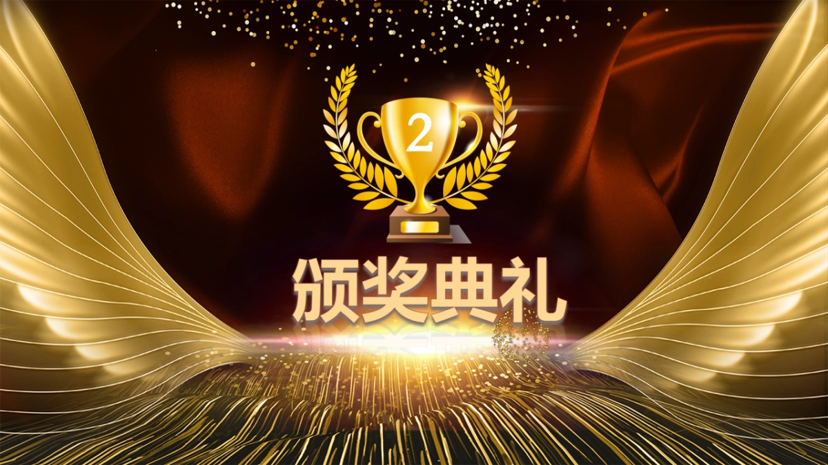 年会颁奖盛典晚会 (53)_第8页