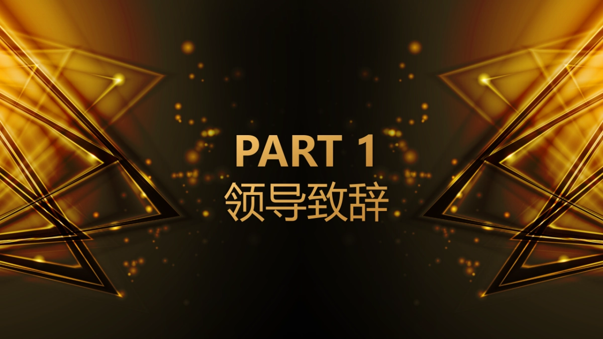 年会颁奖盛典晚会 (61)_第3页