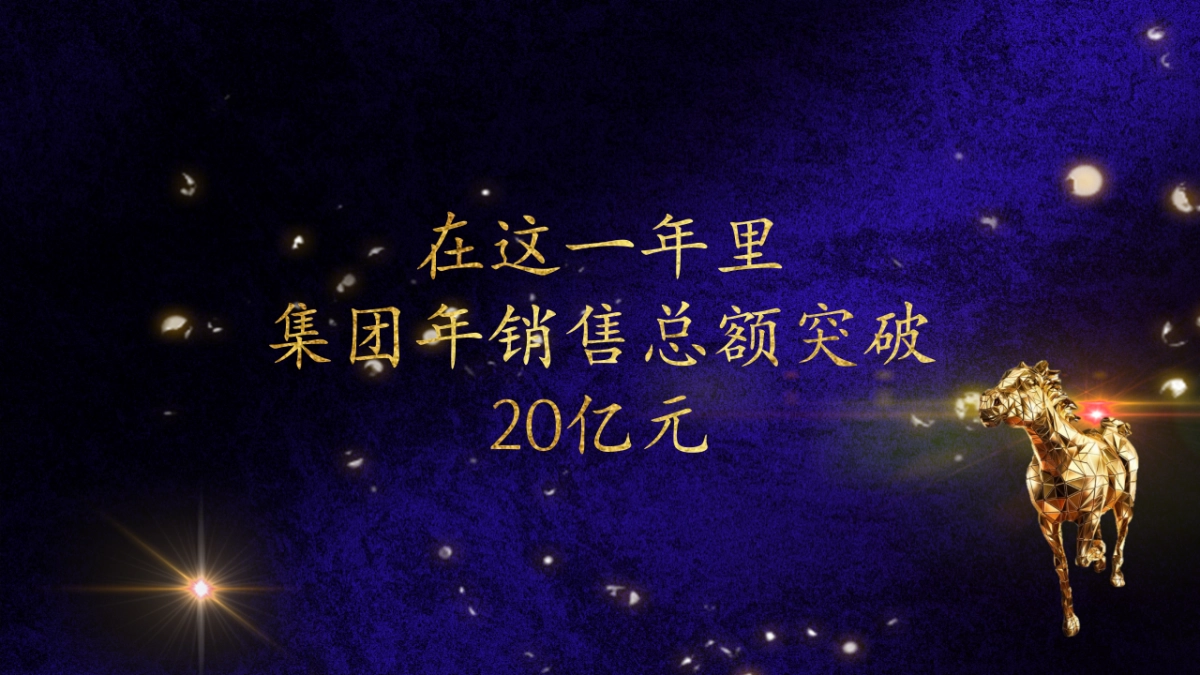 年会颁奖盛典晚会 (69)_第4页