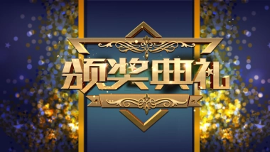 年会颁奖盛典晚会 (81)