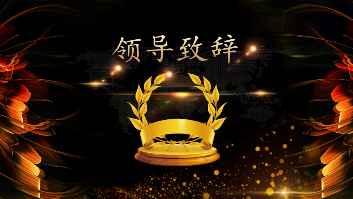 年会颁奖盛典晚会 (85)_第3页