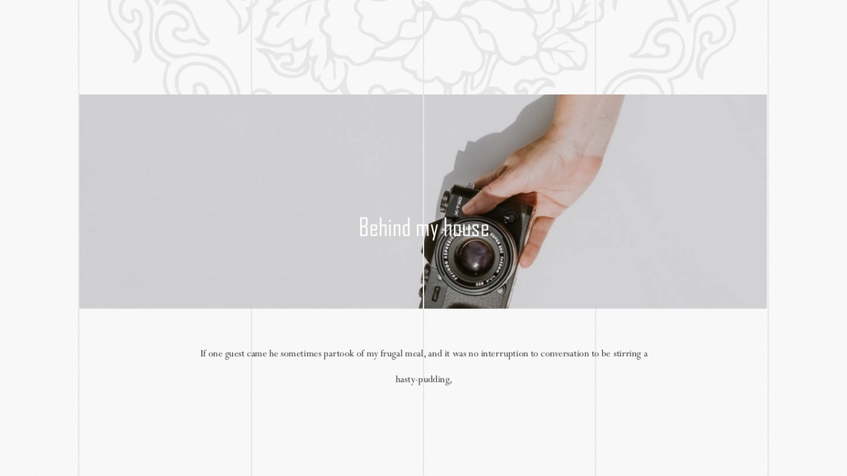 【29】淡雅墨竹_第6页