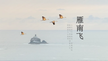 【36】言·雁南飞