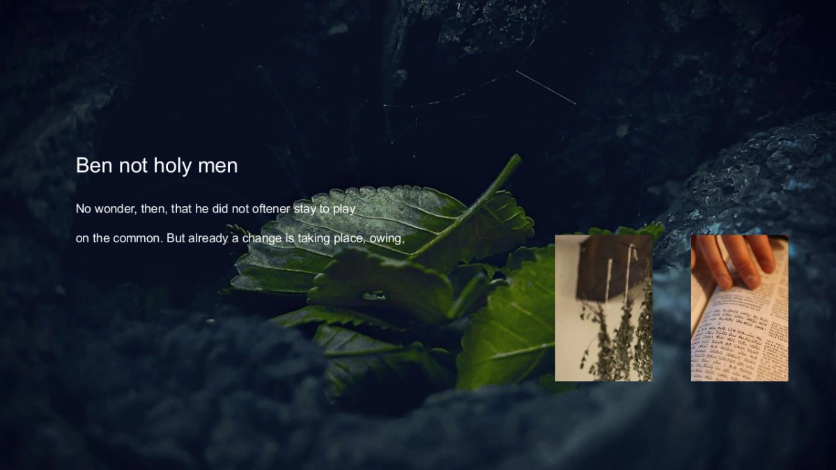 【08】本草_第10页