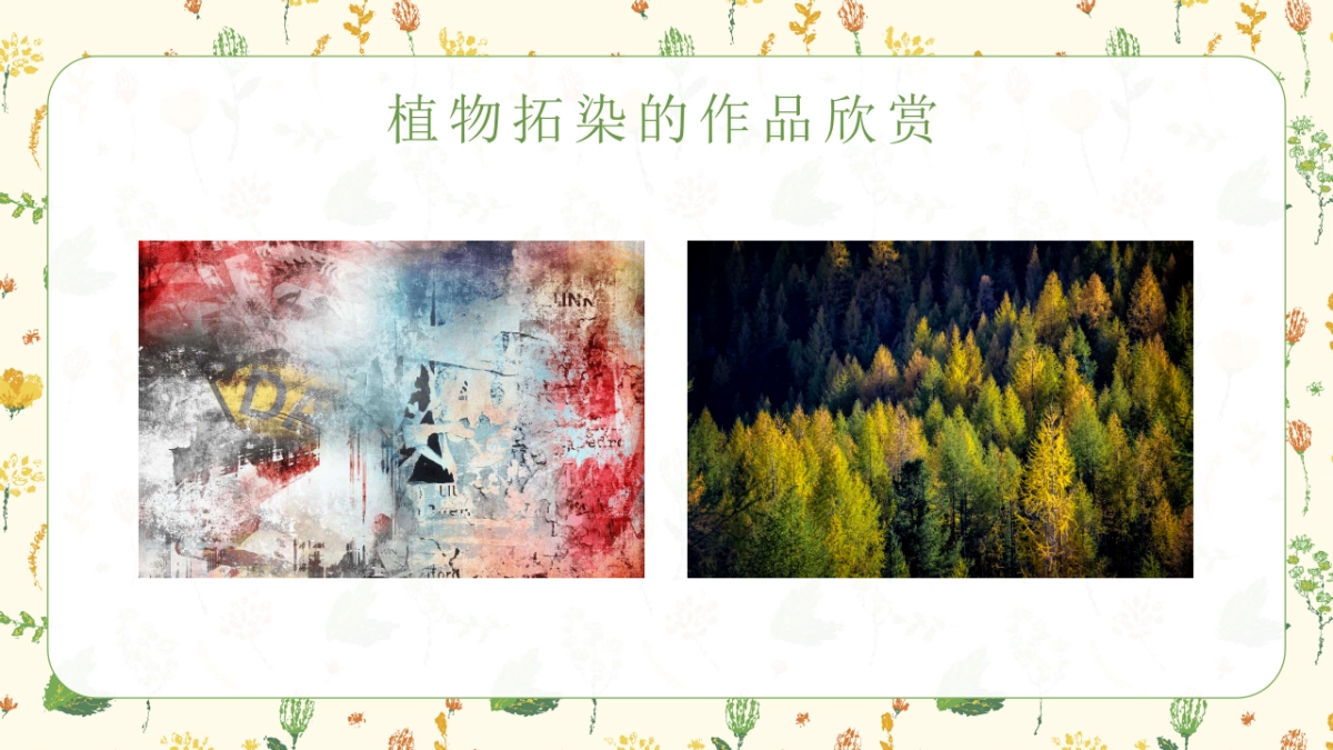 44植物趿染_第7页