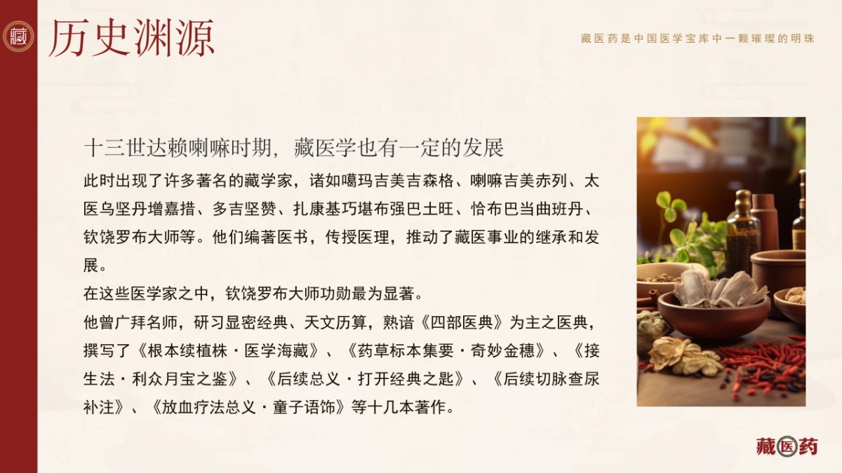 54藏医药_第10页