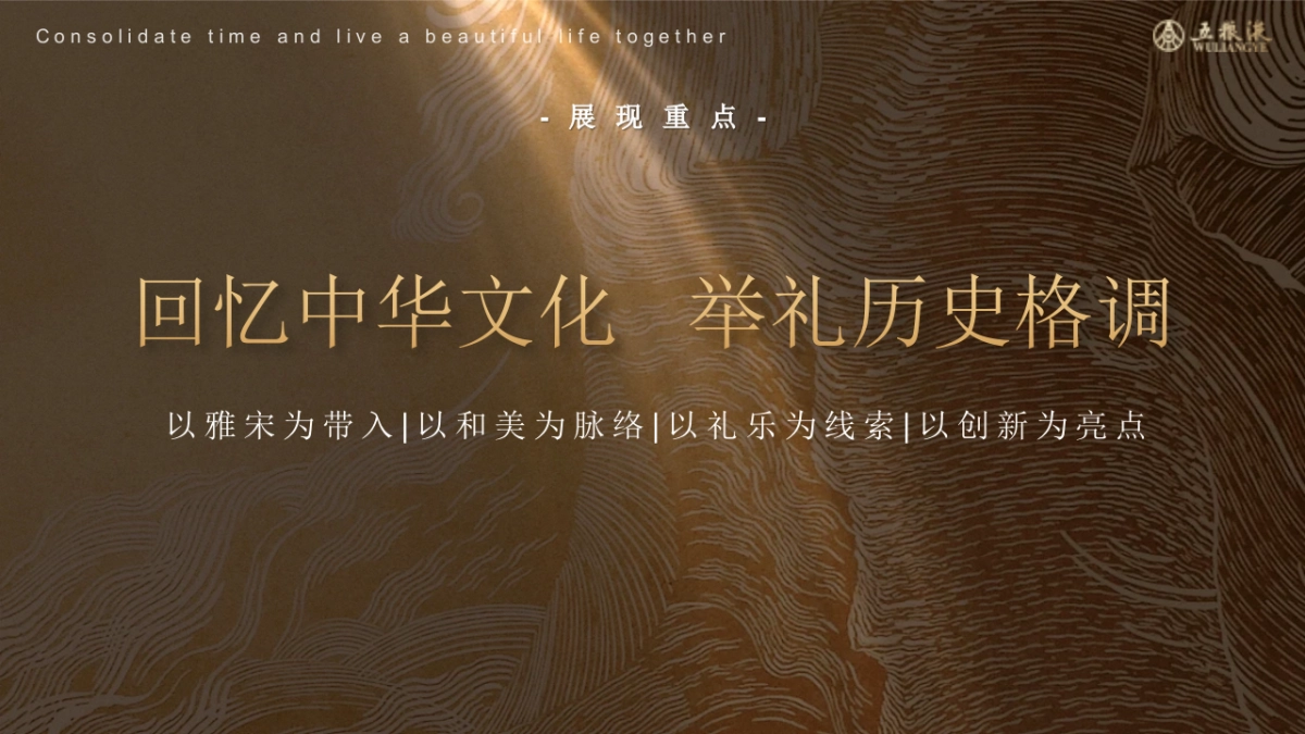 2024五粮液白酒品牌湖南营销大区和美文化节活动方案_第7页