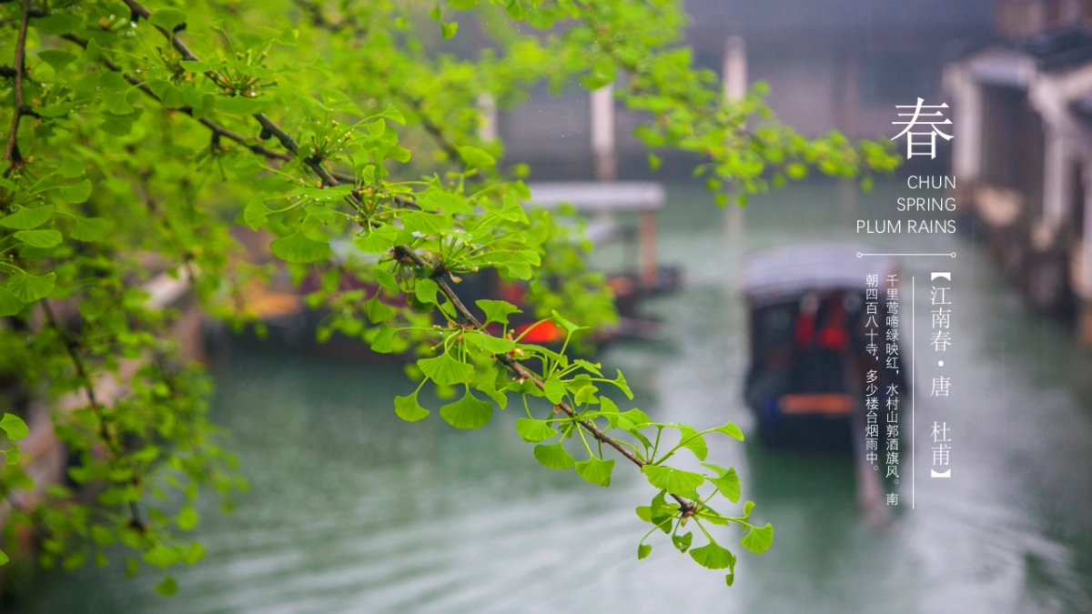 中国风PPT-画册 (22)_第7页