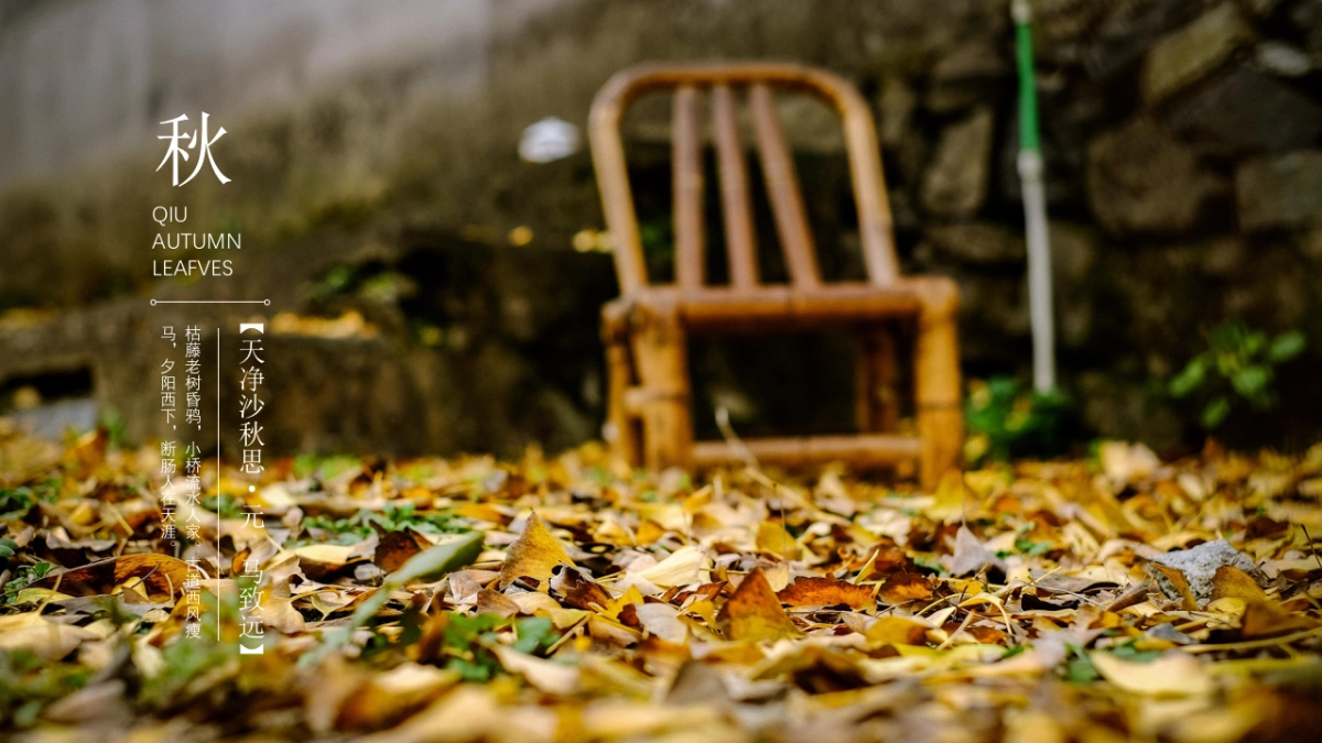 中国风PPT-画册 (22)_第9页