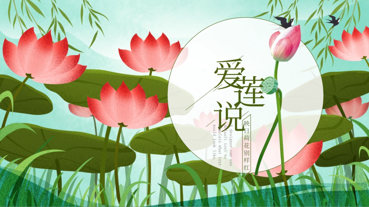 中国风PPT-荷花 (1)_第1页