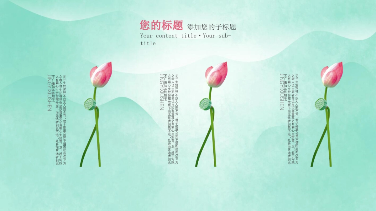 中国风PPT-荷花 (1)_第5页