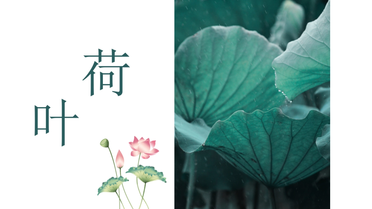 中国风PPT-荷花 (5)_第10页