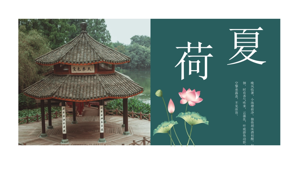 中国风PPT-荷花 (5)_第7页