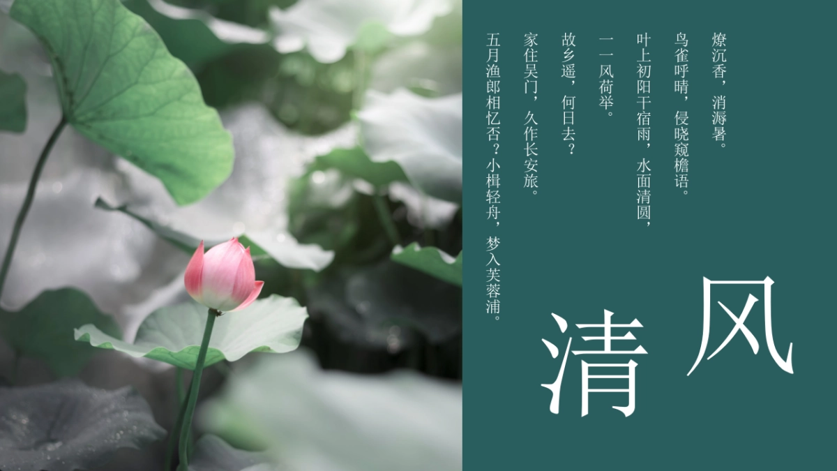 中国风PPT-荷花 (5)_第9页