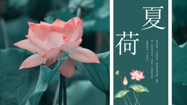 中国风PPT-荷花 (5)