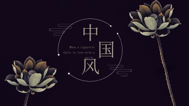 中国风PPT-荷花 (18)