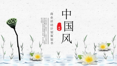 中国风PPT-荷花 (20)