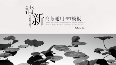 中国风PPT-荷花 (22)