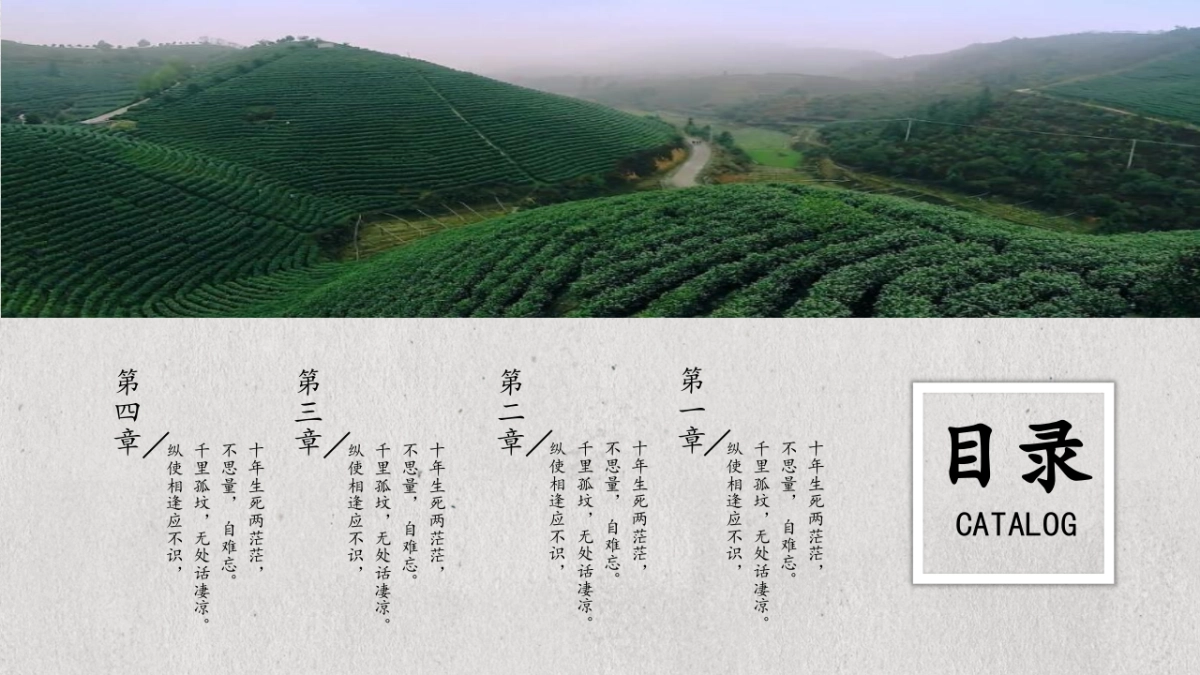 中国风PPT-荷花 (23)_第2页