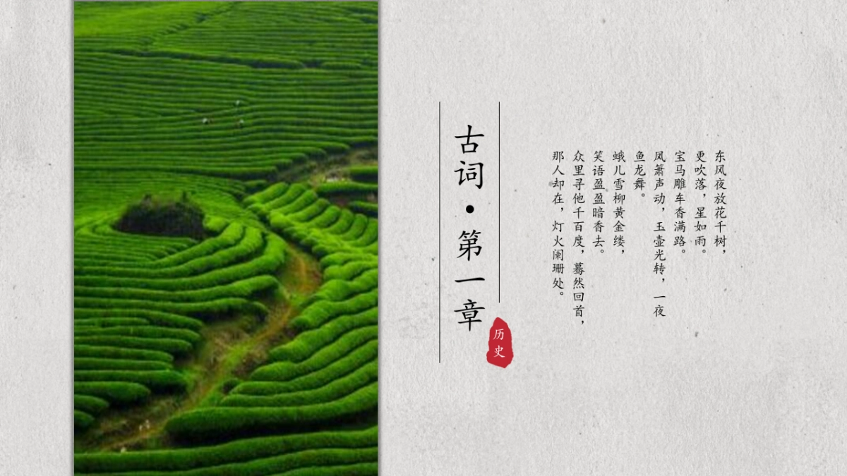 中国风PPT-荷花 (23)_第3页