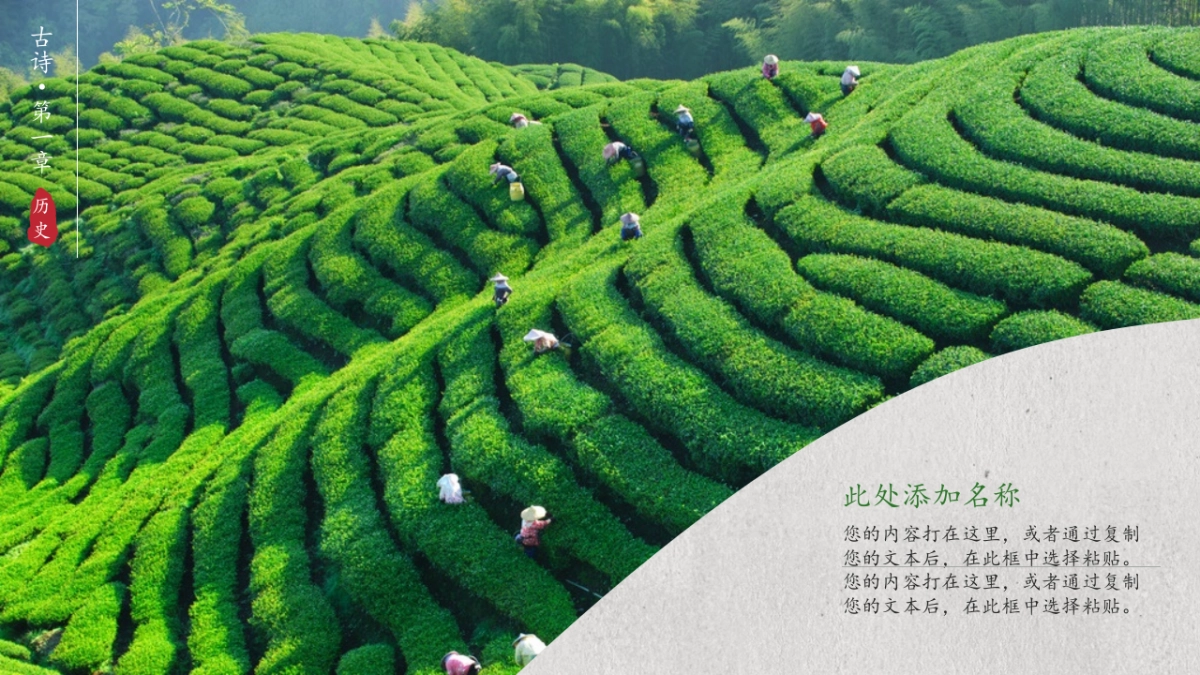 中国风PPT-荷花 (23)_第4页