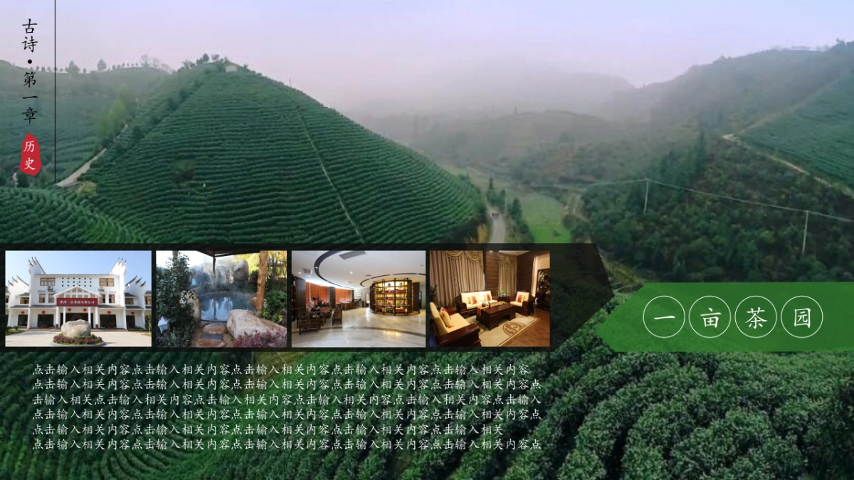 中国风PPT-荷花 (23)_第6页