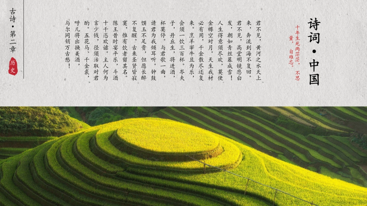 中国风PPT-荷花 (23)_第9页