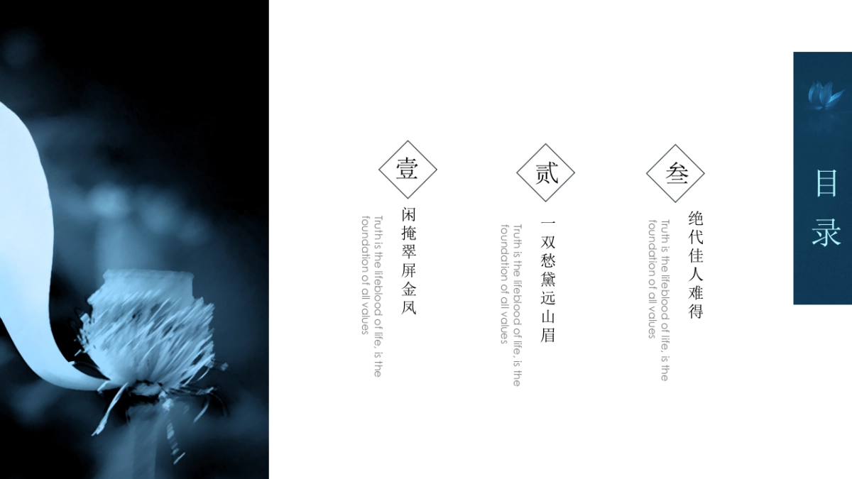 中国风PPT-荷花 (38)_第3页