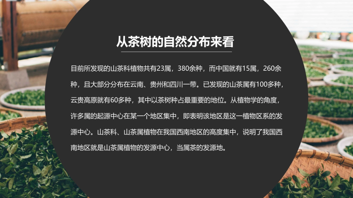 中国风PPT-画册 (2)_第10页