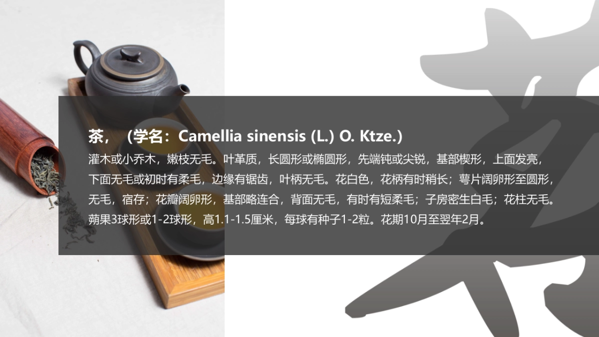 中国风PPT-画册 (2)_第2页