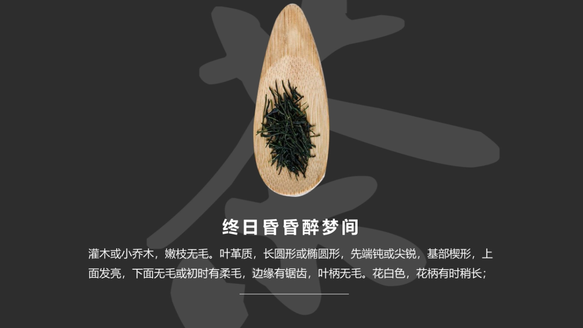 中国风PPT-画册 (2)_第3页