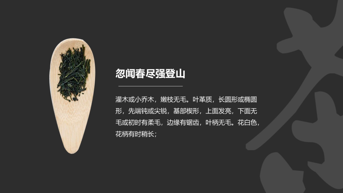 中国风PPT-画册 (2)_第9页