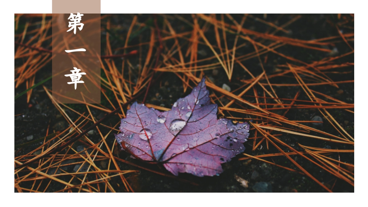 中国风PPT-画册 (9)_第3页