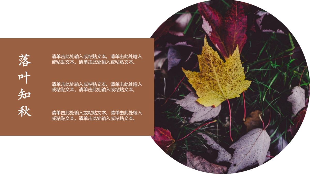 中国风PPT-画册 (9)_第6页