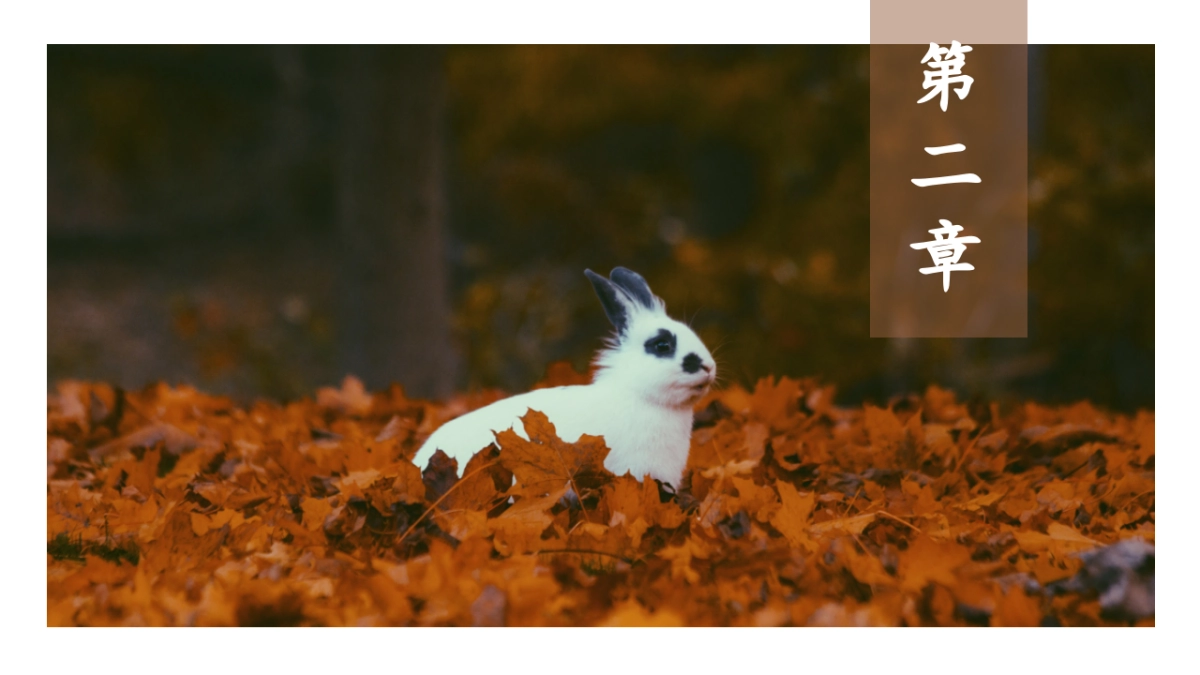 中国风PPT-画册 (9)_第8页