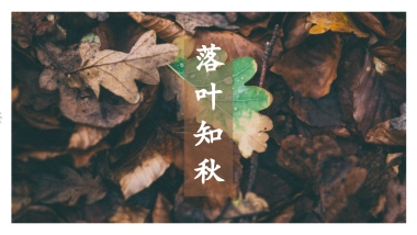 中国风PPT-画册 (9)